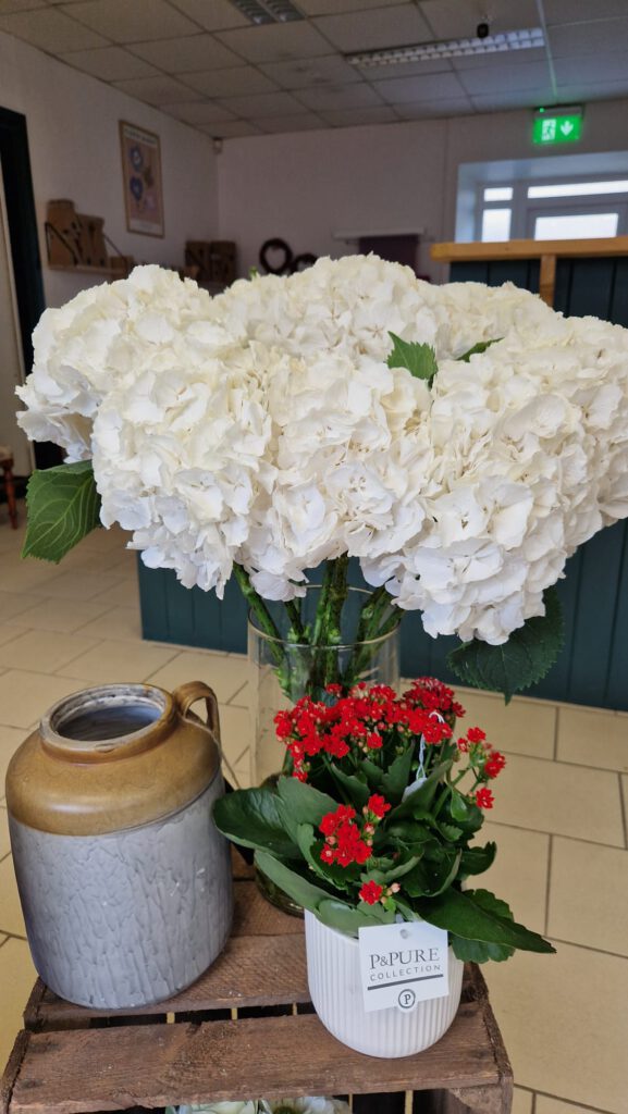 julie's flowers strokestown julie's flowers strokestown