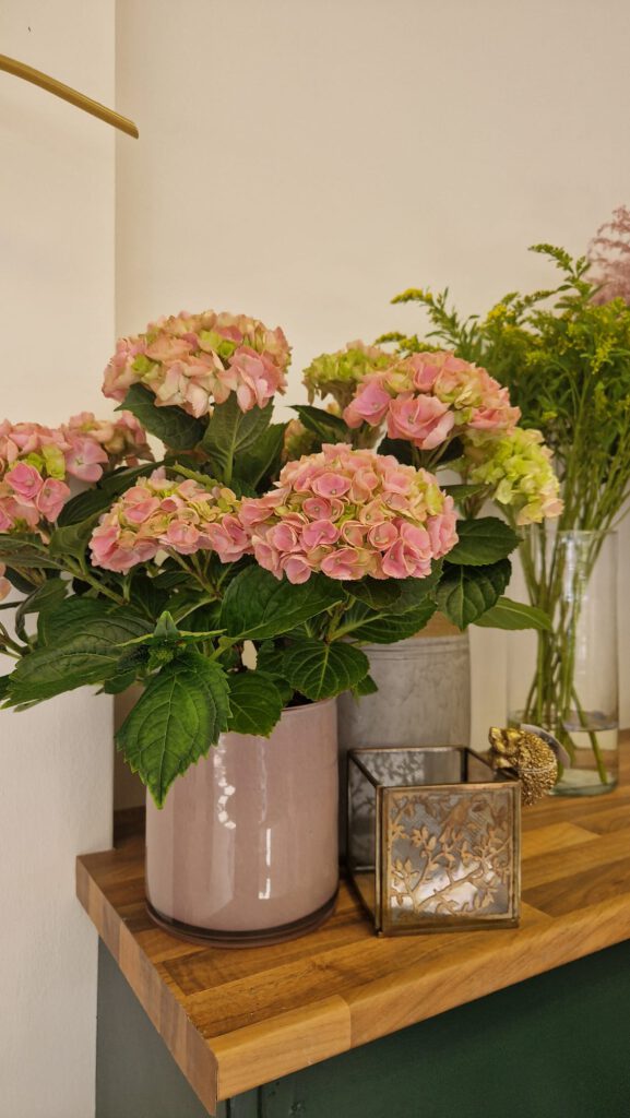 julie's flowers strokestown julie's flowers strokestown